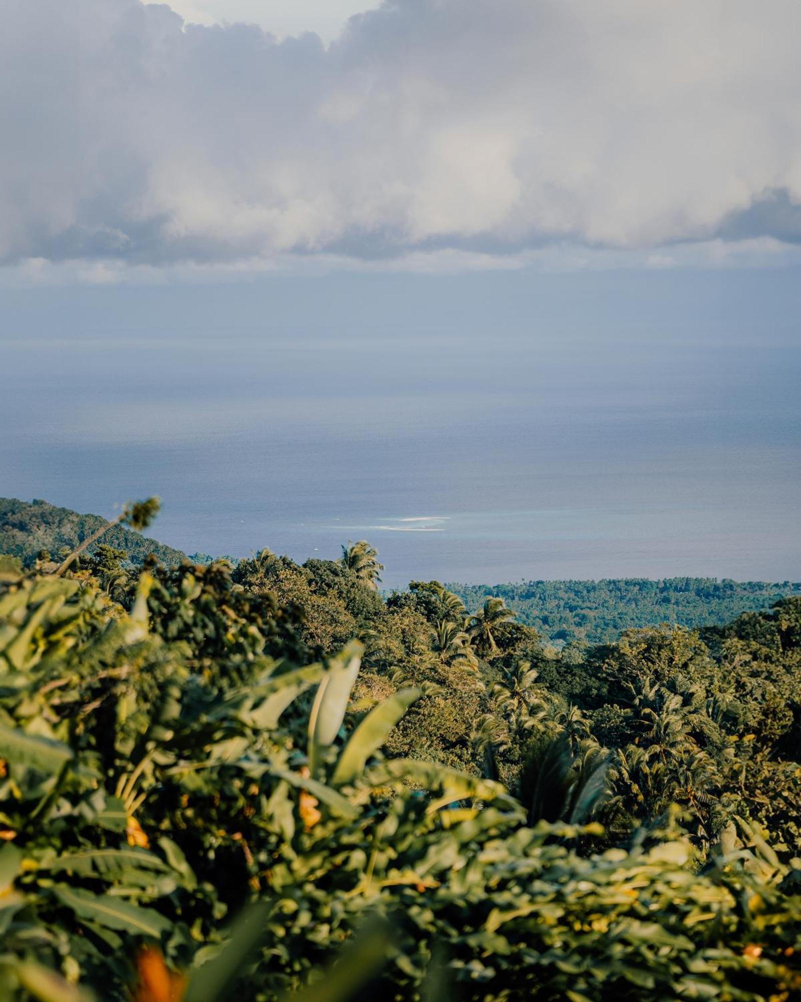 Bintana Sa Paraiso Binunsaran マンバヤオ エクステリア 写真